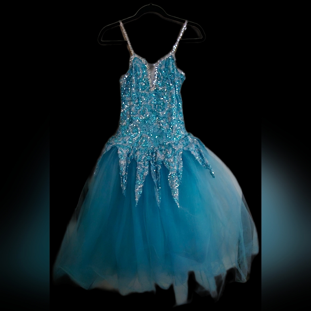 Women/Teens Sparkling Blue Princess/Fairy/Ballet Costume - Picture 13 of 13